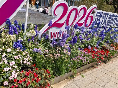 WuhanFlowerShow0426 (4)
