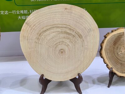 WuhanFlowerShow0426 (401)