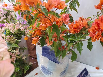 WuhanFlowerShow0426 (50)