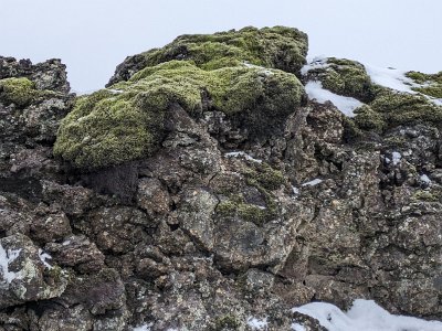 BlueLagoonPx (65)
