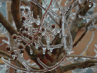 icicles22a (20)