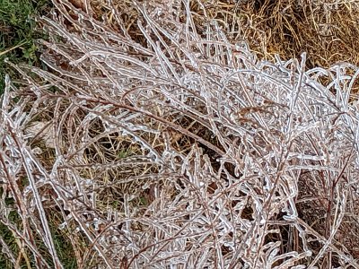 iciclesp22b (29)