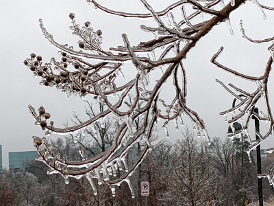 iciclesp22b (7)