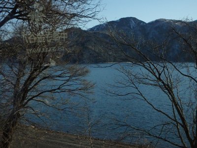 Nikko031624 (419)