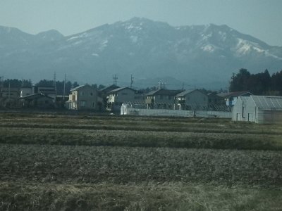 Nikko031524 (216)
