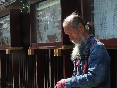 Sensoji Temple (99)