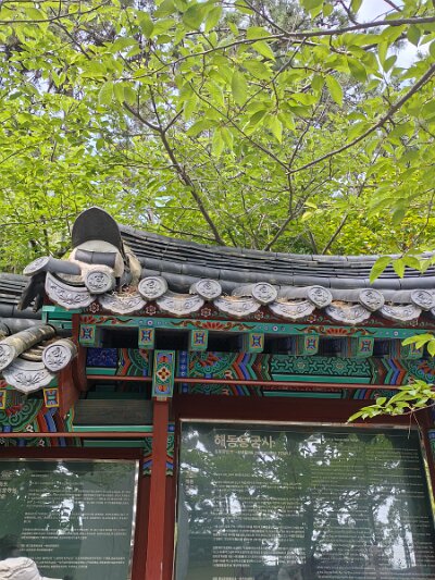 BuddhistBusan (103)