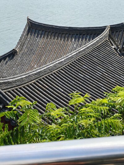 BuddhistBusan (133)