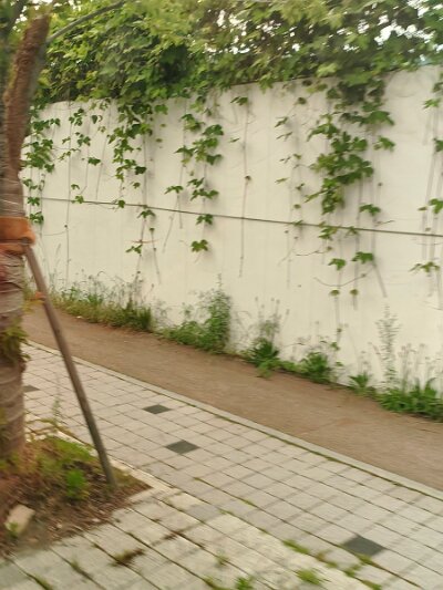 BuddhistBusan (56)