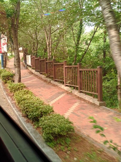 BuddhistBusan (60)