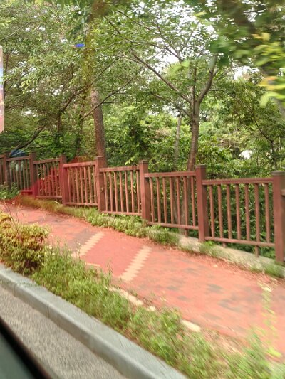 BuddhistBusan (61)