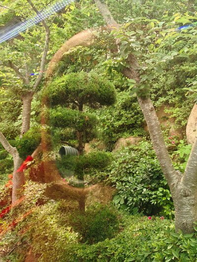 BuddhistBusan (63)