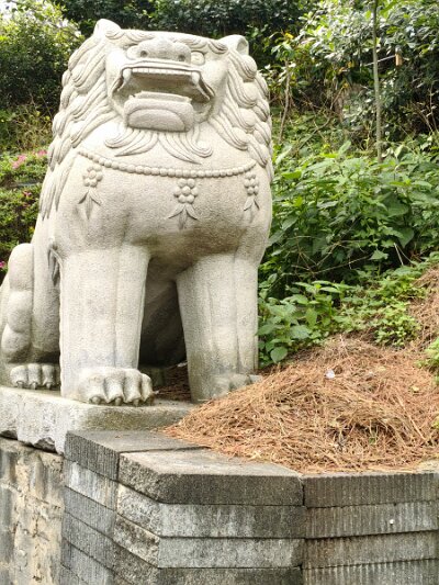 BuddhistBusan (76)