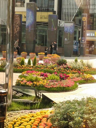 Busan (1)