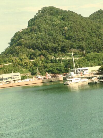 Busan (204)