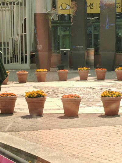 Busan (3)
