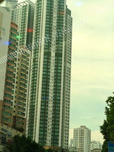 Busan (79)
