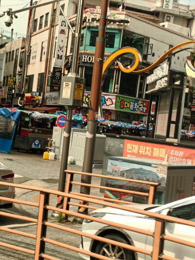 Busan (80)