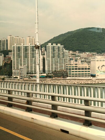 2 Busan (102)