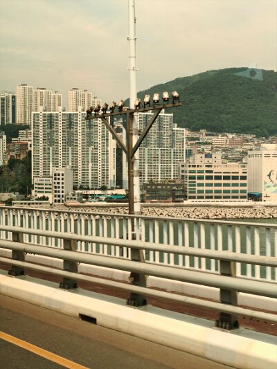 2 Busan (103)