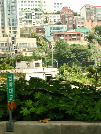 2 Busan (107)