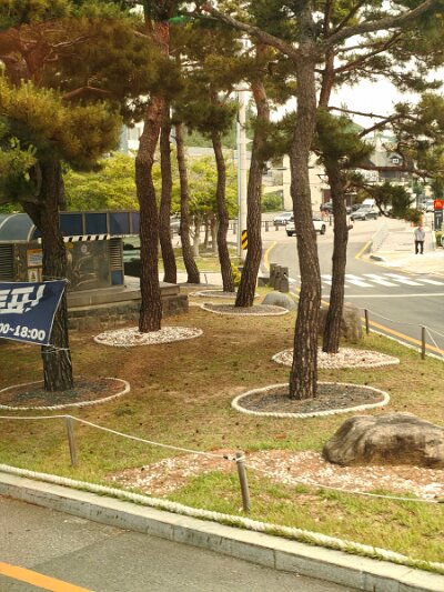 2 Busan (2)