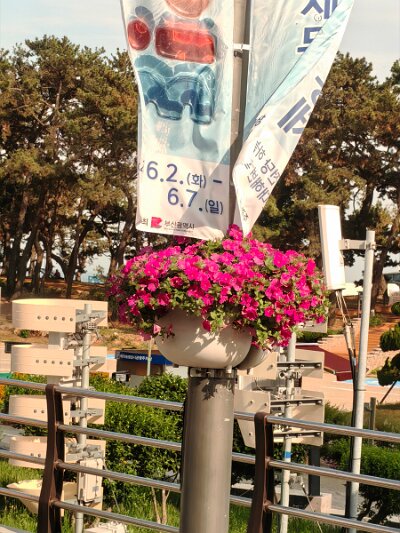 Busan (240)