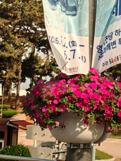 Busan (241)