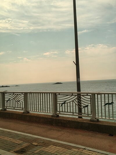 Busan0601 (31)