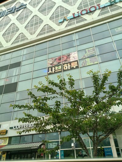 Busan0601 (46)