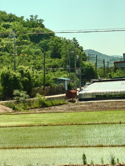 ToBusan0531 (106)