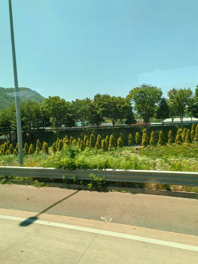 ToBusan0531 (110)