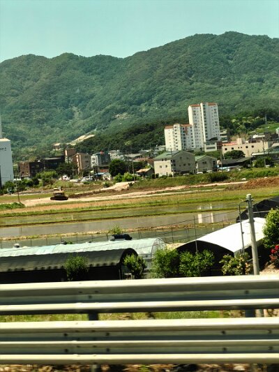 ToBusan0531 (134)