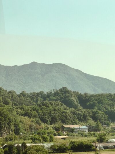 ToBusan0531 (14)