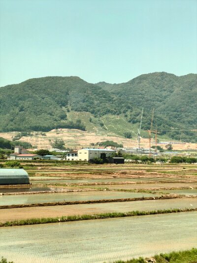 ToBusan0531 (140)