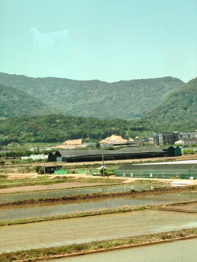 ToBusan0531 (143)