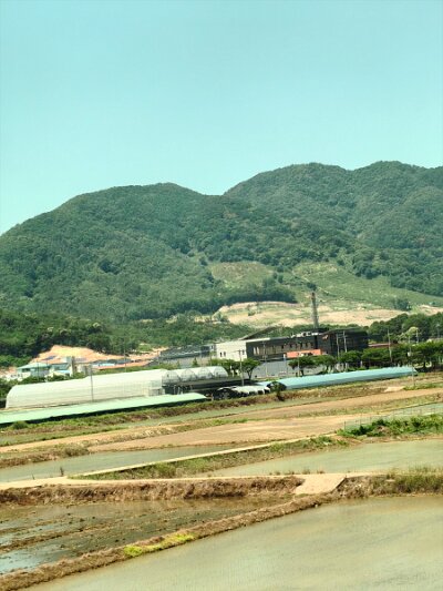 ToBusan0531 (148)
