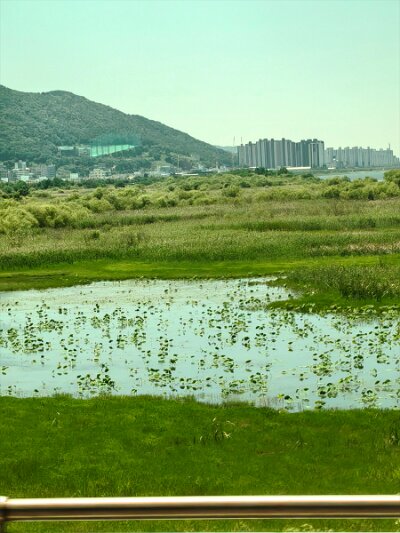 ToBusan0531 (211)