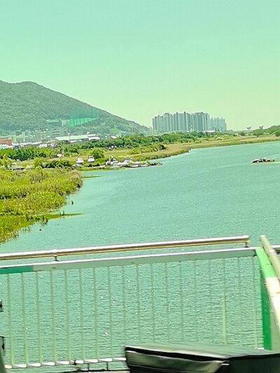 ToBusan0531 (225)