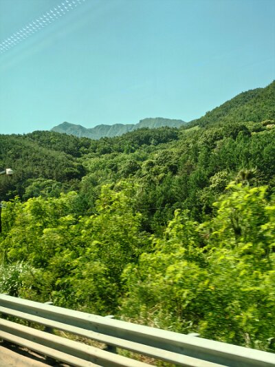 ToBusan0531 (32)