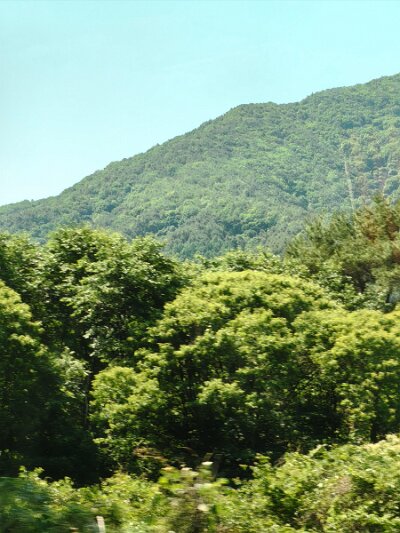 ToBusan0531 (35)