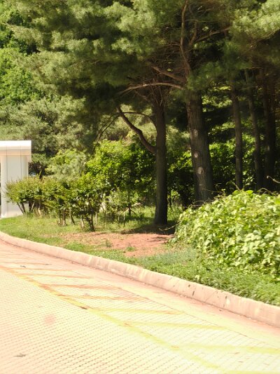 ToBusan0531 (65)