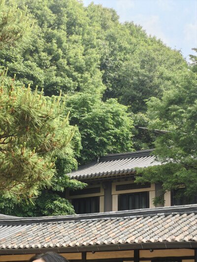 Cultural Center 27 (10)