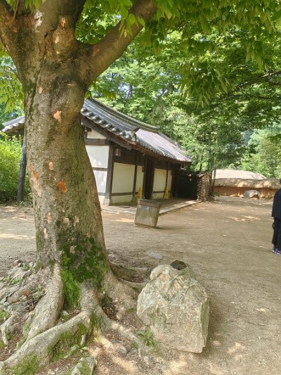 Cultural Center 27 (111)