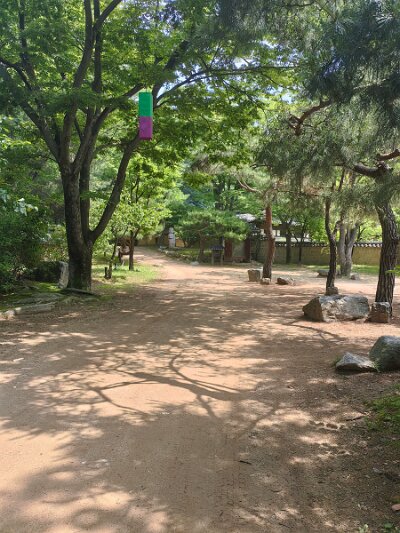 Cultural Center 27 (113)