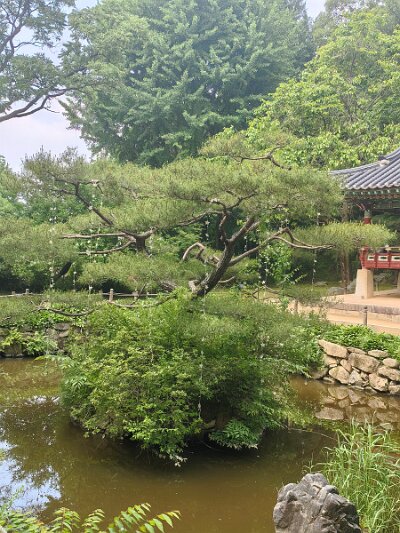 Cultural Center 27 (138)