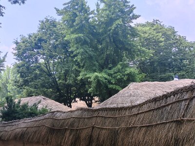 Cultural Center 27 (139)