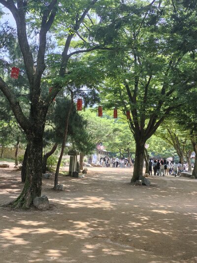 Cultural Center 27 (145)