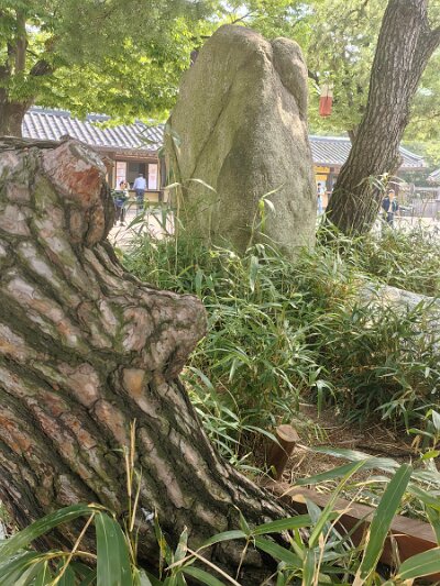 Cultural Center 27 (2)
