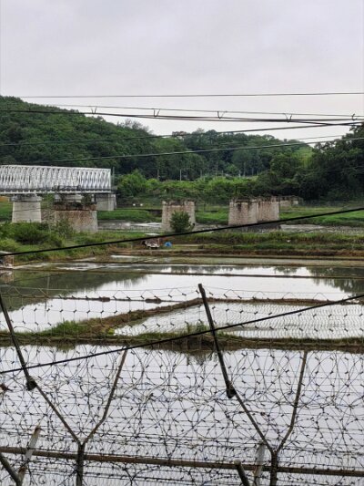28 DMZ (102)